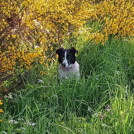 La Passerelle Ferme De Bien-etre Verrieres (Aveyron)